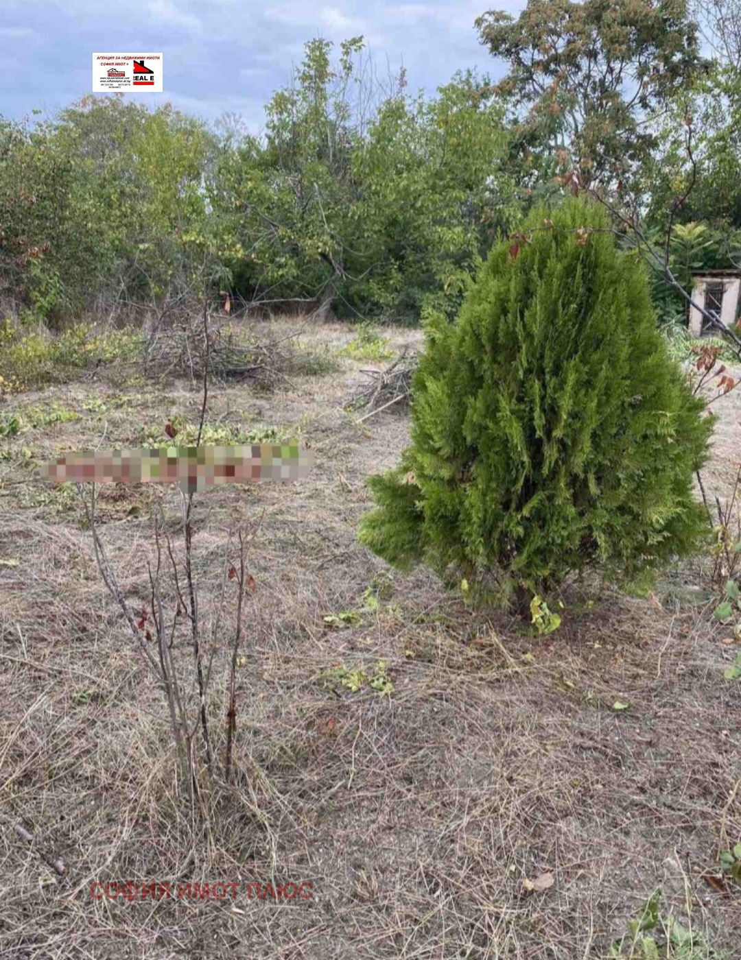 Продава КЪЩА, с. Железна, област Монтана, снимка 15 - Къщи - 54000127