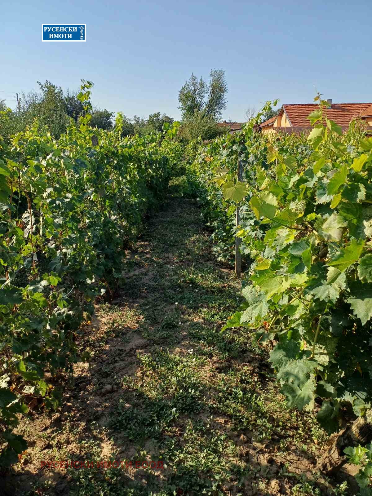 ������� ���� | Imot.bg � ����������� 15
