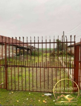 ����� ������� ������,�. �����������, ������ �������