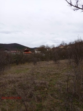 ������� ������ | Imot.bg � ����� ������ 7