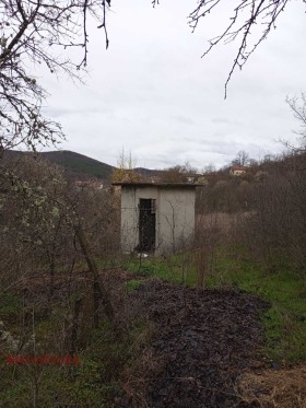 ����� ������� ������,�. ���� ����, ������ ����� ������>