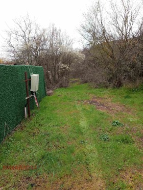 ����� ������� ������,�. ���� ����, ������ ����� ������