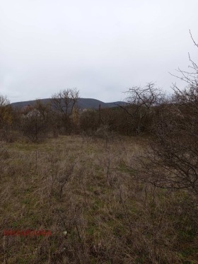 ������� ������ | Imot.bg � ����� ������ 8