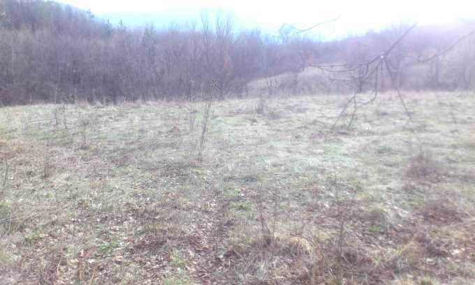 Продава КЪЩА, с. Ловнидол, област Габрово, снимка 12 - Къщи - 52115887