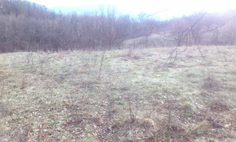 Продава КЪЩА, с. Ловнидол, област Габрово, снимка 17 - Къщи - 52115887