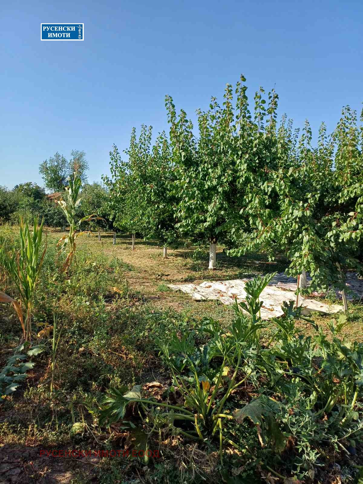 Продава КЪЩА, с. Нова Черна, област Силистра, снимка 14 - Къщи - 55650201