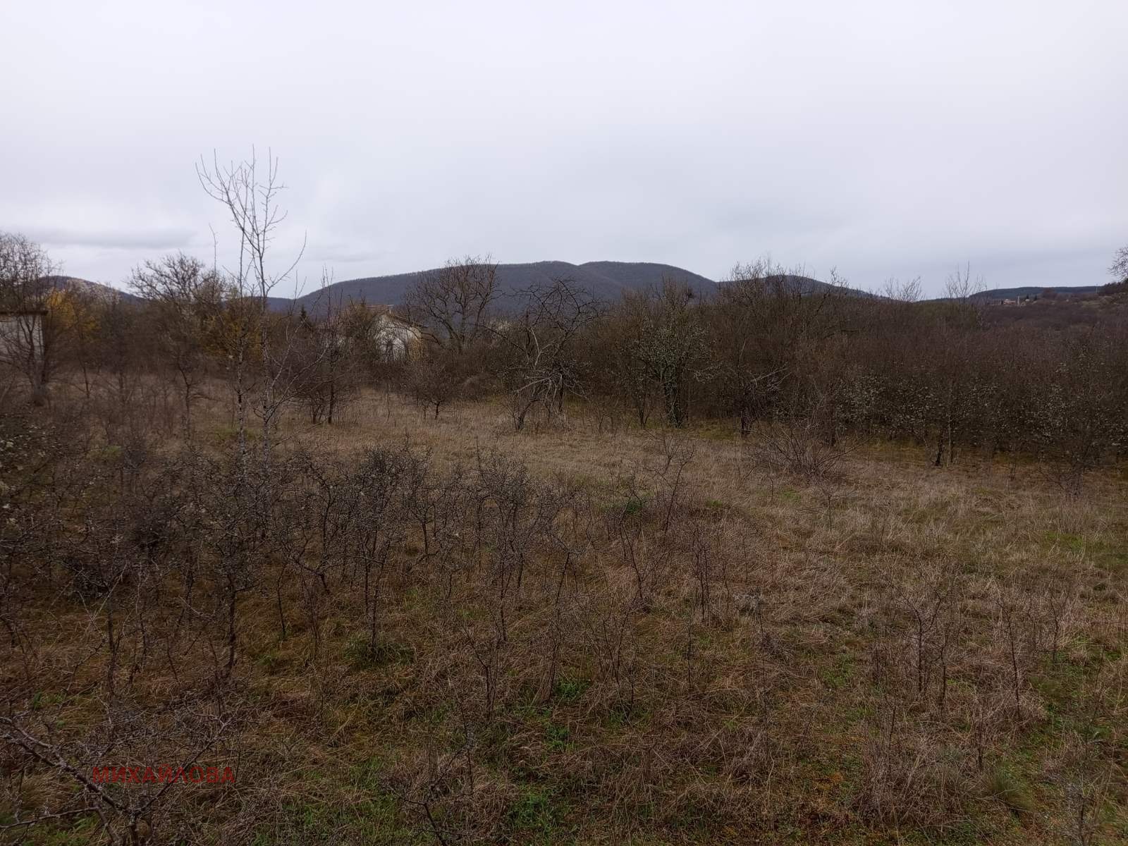 Продава ПАРЦЕЛ, с. Ново село, област Стара Загора, снимка 5 - Парцели - 54204762