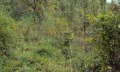 Продава КЪЩА, с. Ловнидол, област Габрово, снимка 7