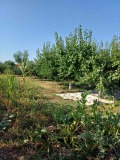 Продава КЪЩА, с. Нова Черна, област Силистра, снимка 14