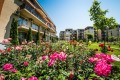 Продава 1-СТАЕН, област Бургас, к.к. Слънчев бряг • 57000 € / 111482.31 лв. • 71123645 4