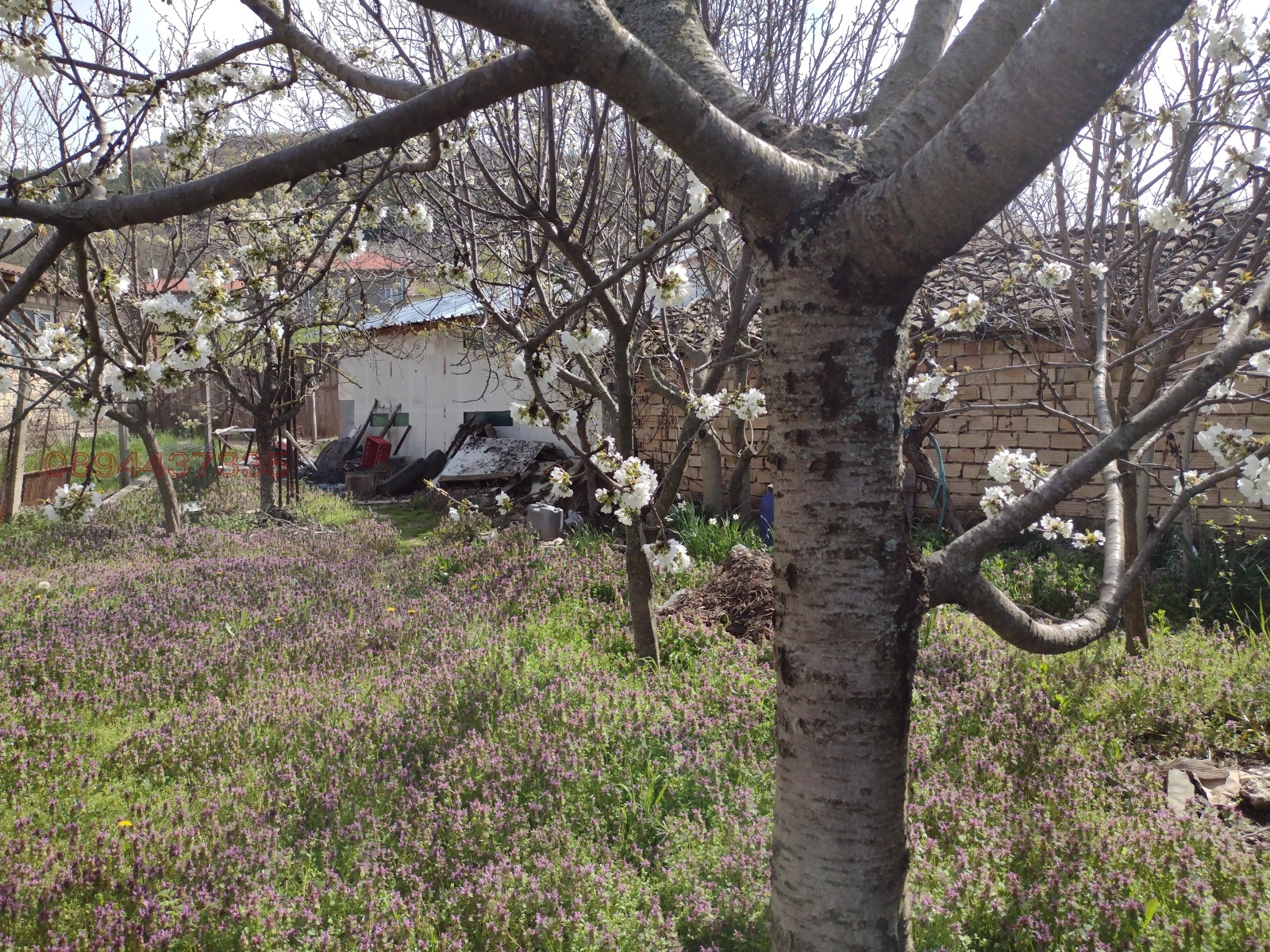 ������� ���� | Imot.bg � ����������� 14