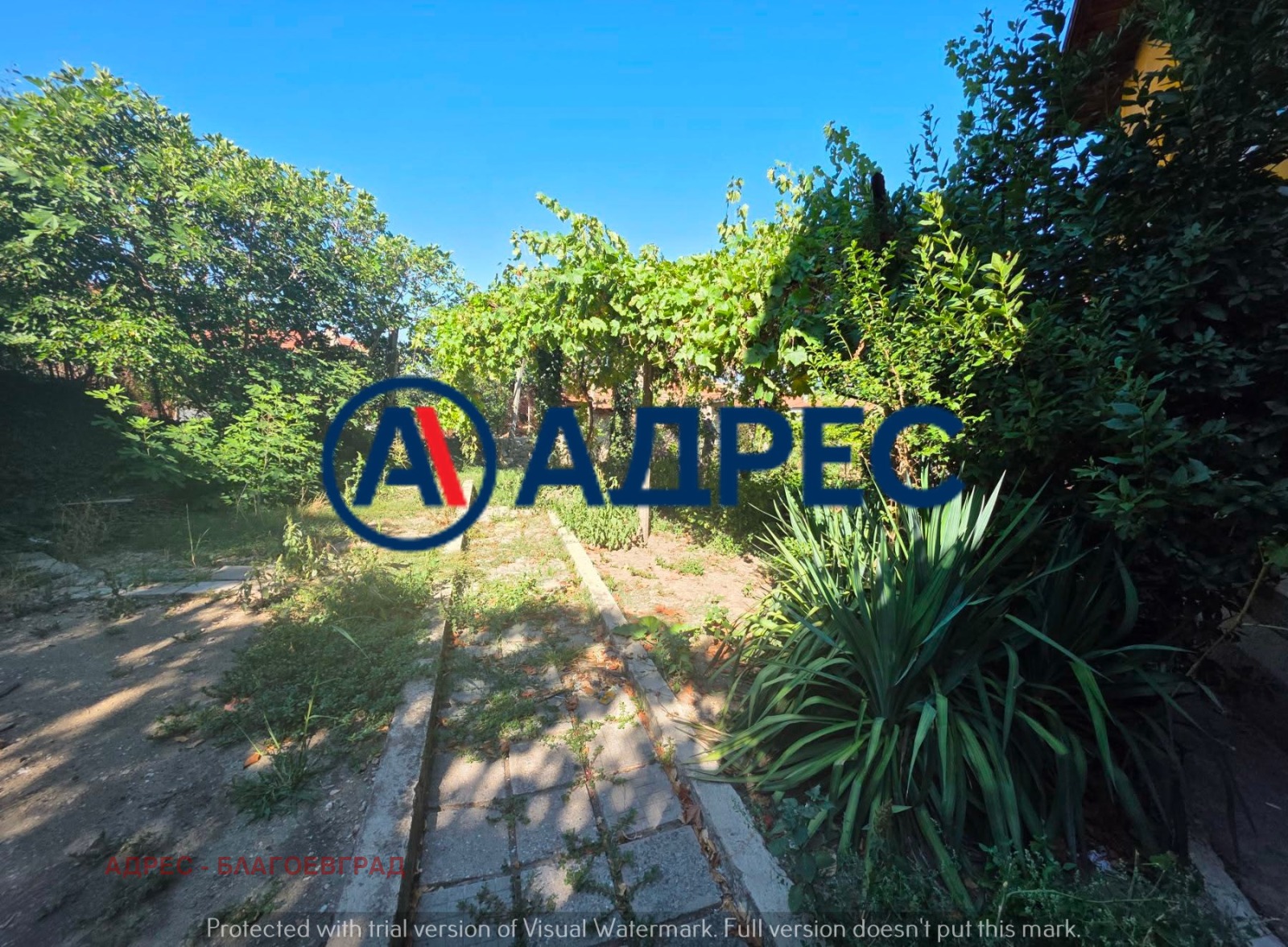 ������� ���� | Imot.bg � ����������� 8