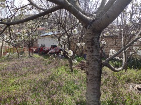 ������� ���� | Imot.bg � ����� ������ 14