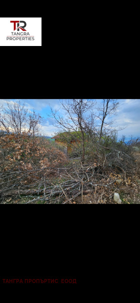 Villa Bornarevo, regione Pernik 11