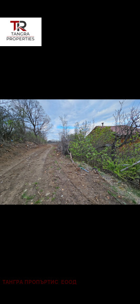 Villa Bornarevo, regione Pernik 10