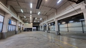 ����� ������� ����. ���������,���� �����, ���������� ����