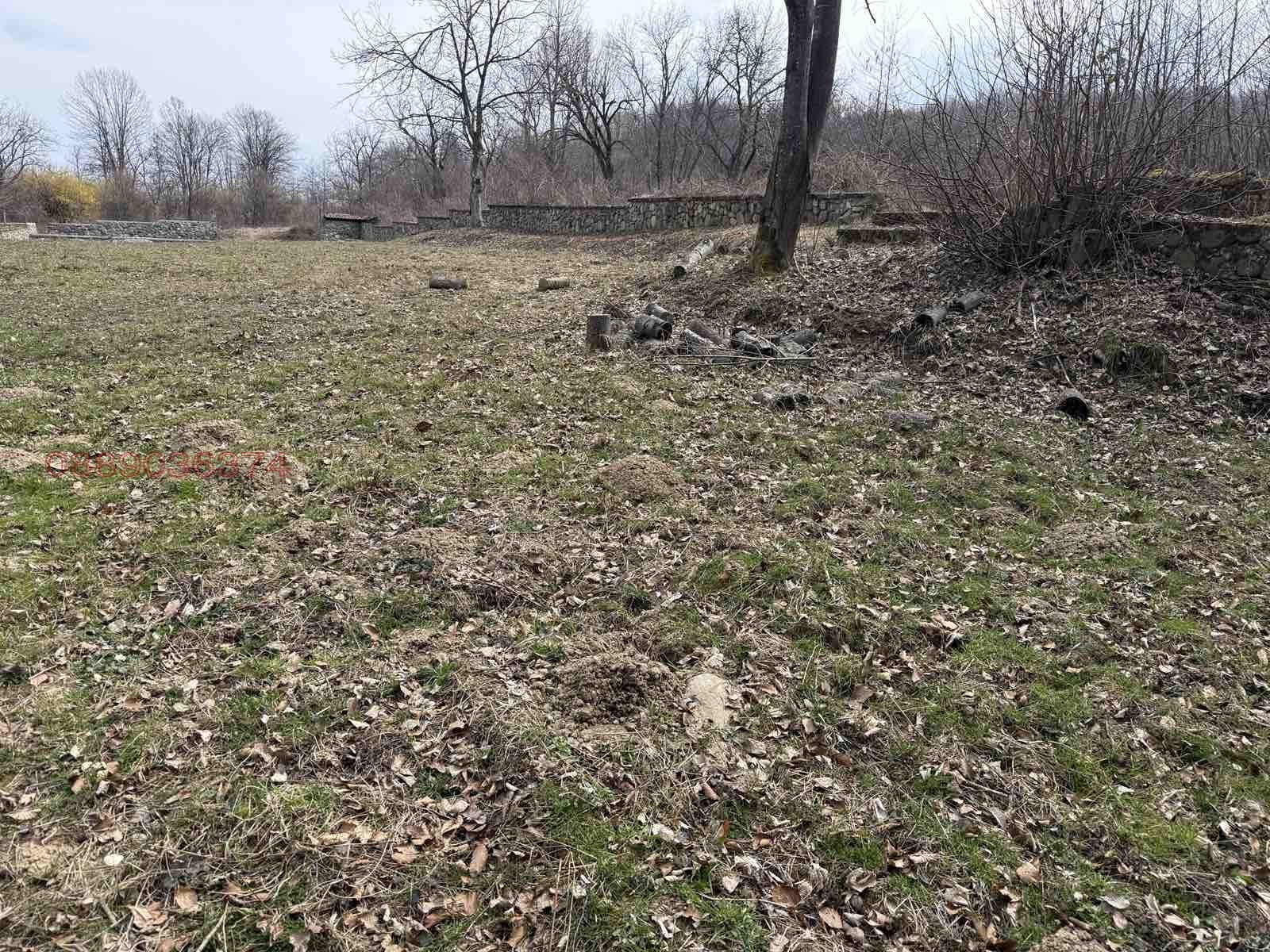 Продава ПАРЦЕЛ, гр. Берковица, област Монтана, снимка 5 - Парцели - 54321986