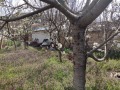 Продава КЪЩА, с. Стража, област Търговище, снимка 14