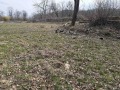 Продава ПАРЦЕЛ, гр. Берковица, област Монтана, снимка 5