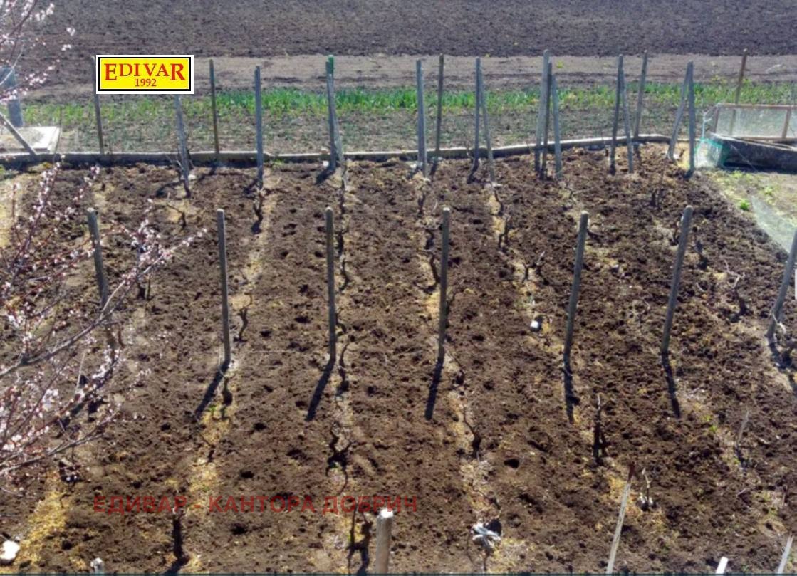 ������� ���� | Imot.bg � ����������� 4