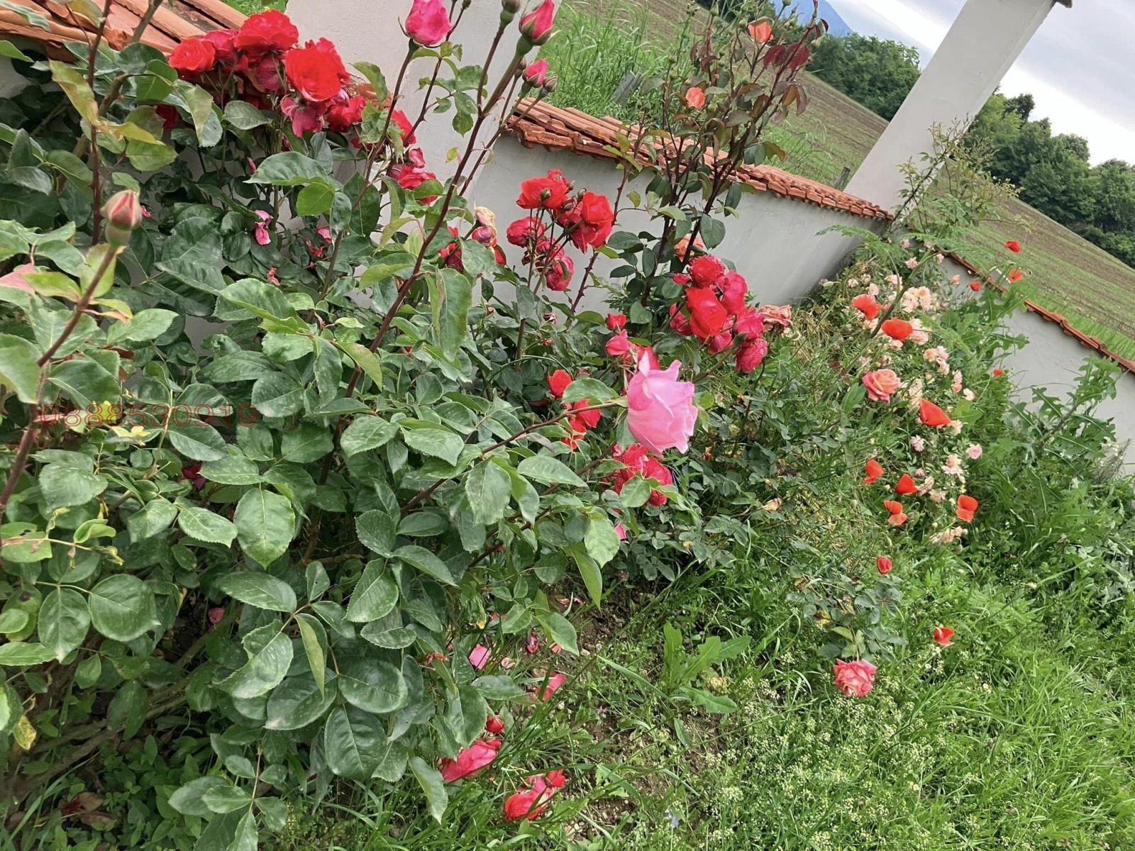 ������� ������ | Imot.bg � ����������� 4