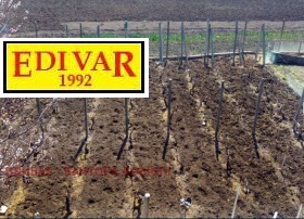 ������� ���� | Imot.bg � ����� ������ 4