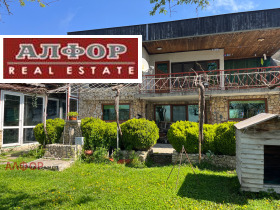 ������ ������� ����