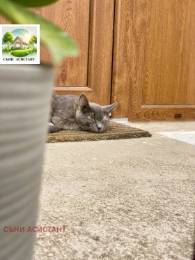 ������� ���� | Imot.bg � ����� ������ 16