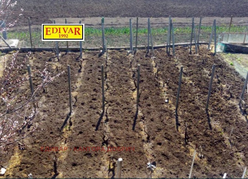 Продава КЪЩА, с. Храброво, област Добрич, снимка 3 - Къщи - 53004552