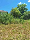 Продава ПАРЦЕЛ, с. Очуша, област София област, снимка 4