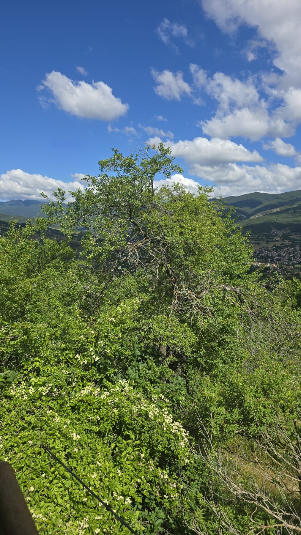 ������� ���� | Imot.bg � ����������� 10