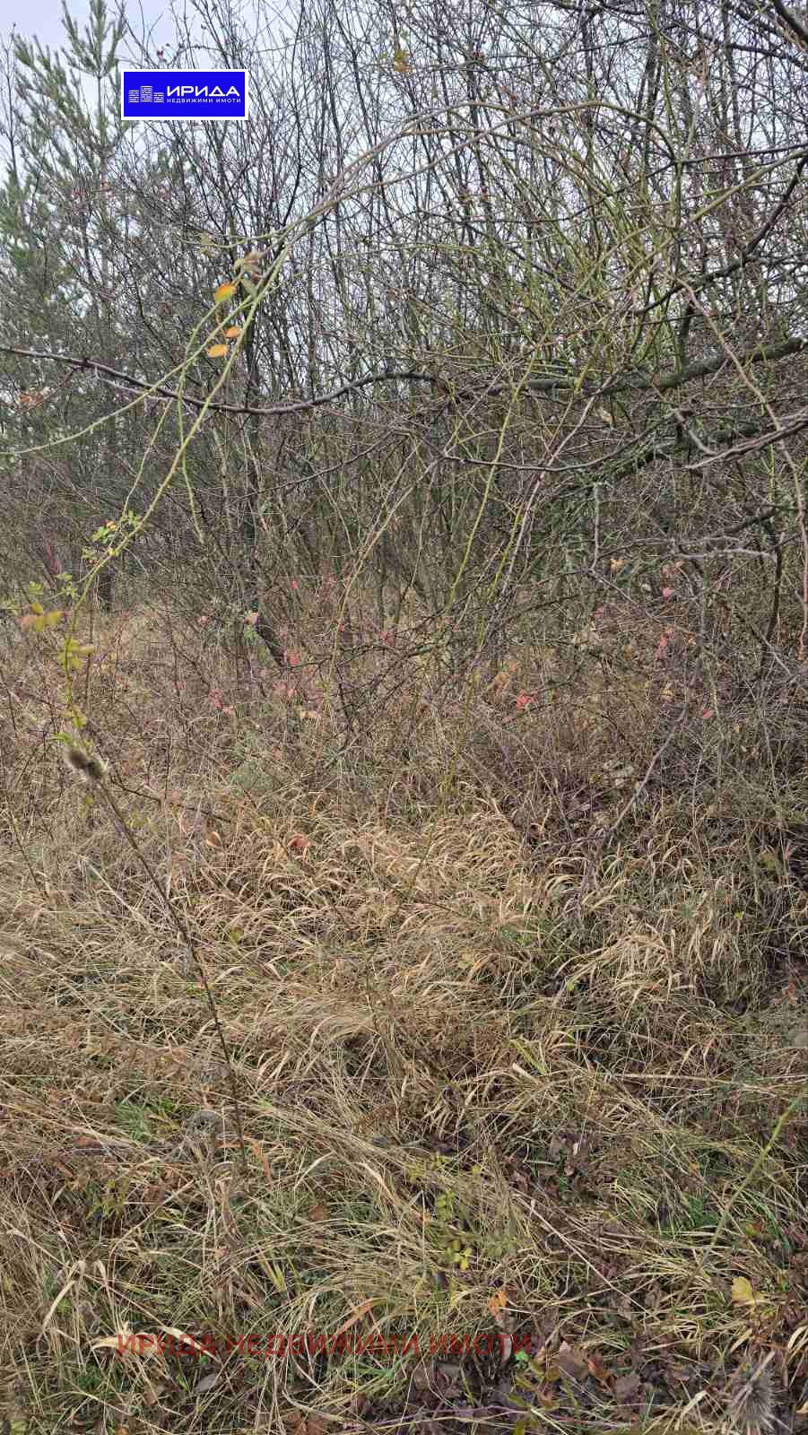 ������� ������ | Imot.bg � ����������� 2