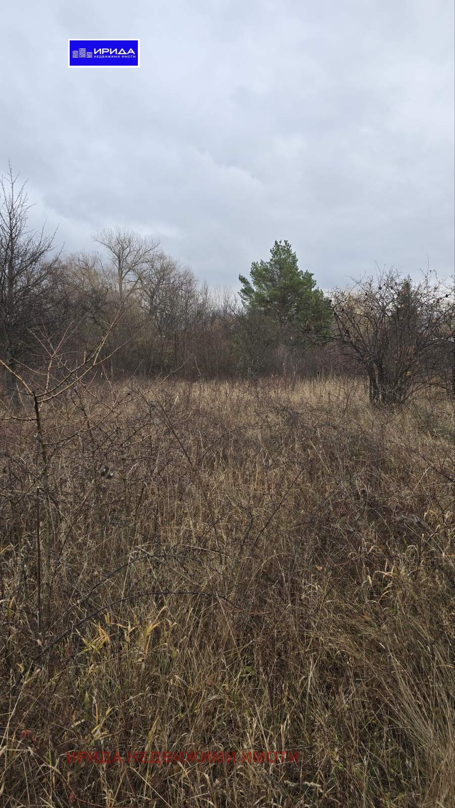 ������� ������ | Imot.bg � ����������� 3