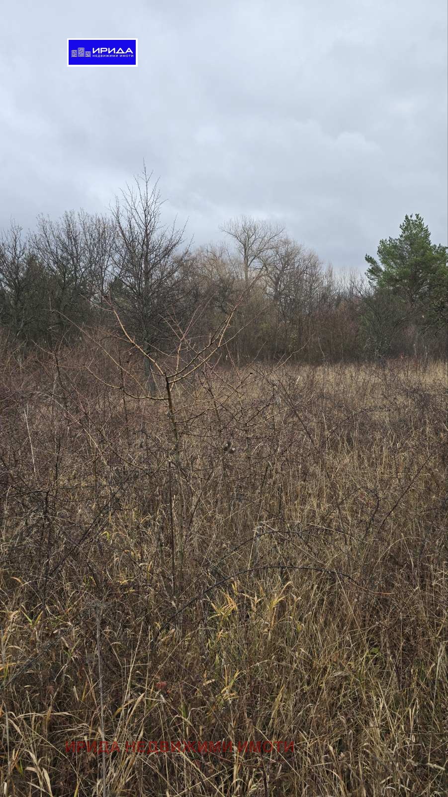 ������� ������ | Imot.bg � ����������� 1