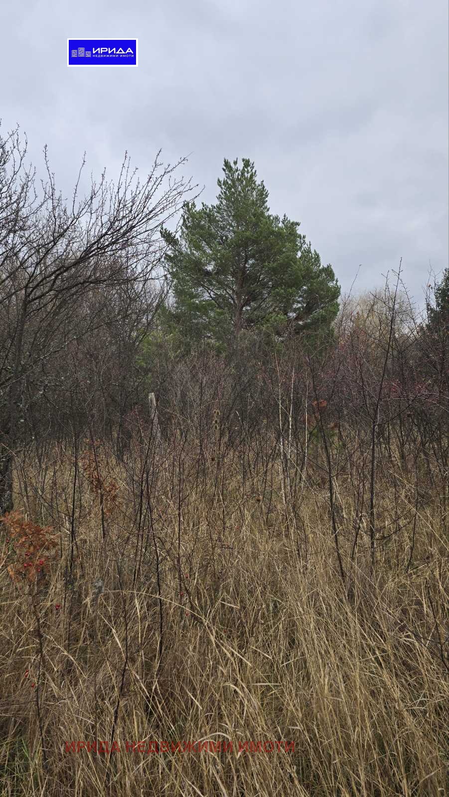 ������� ������ | Imot.bg � ����������� 4