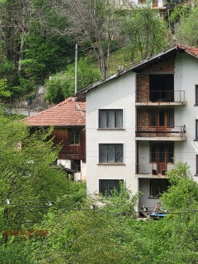 Hus Sjipkovo, region Lovech 1