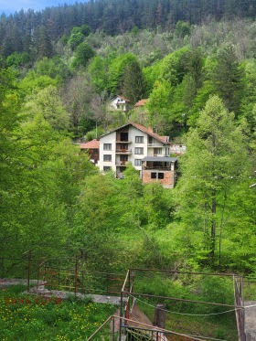 Hus Sjipkovo, region Lovech 3