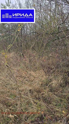 ������� ������ | Imot.bg � ����� ������ 2