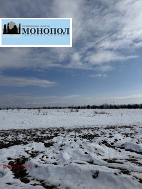 ����� ������� ������,�. ���������, ������ �����