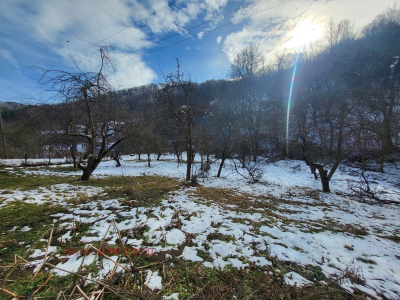 Προς πώληση  σπίτι περιοχή Lovech , ΤΣηπκοβο , 303 τ.μ | 11192722 - εικόνα [5]