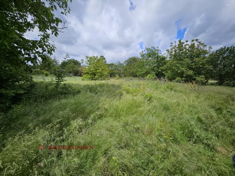 Продава КЪЩА, с. Конаре, област Добрич, снимка 10 - Къщи - 52147859