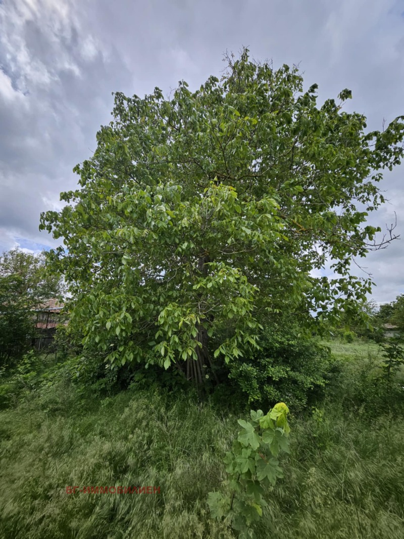 Продава КЪЩА, с. Конаре, област Добрич, снимка 9 - Къщи - 52147859