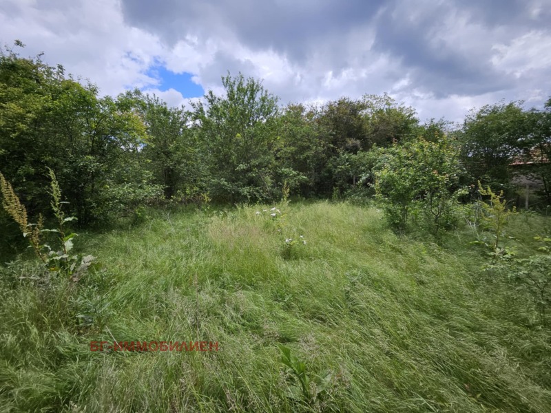 Продава КЪЩА, с. Конаре, област Добрич, снимка 14 - Къщи - 52147859