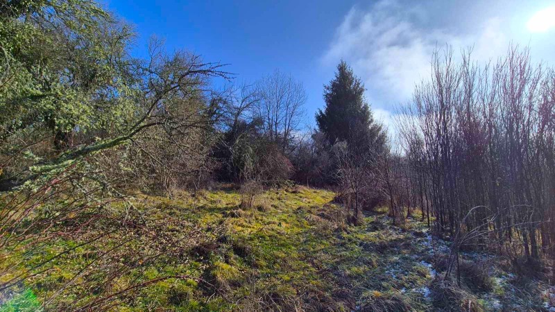 Продава ПАРЦЕЛ, с. Зелениград, област Перник