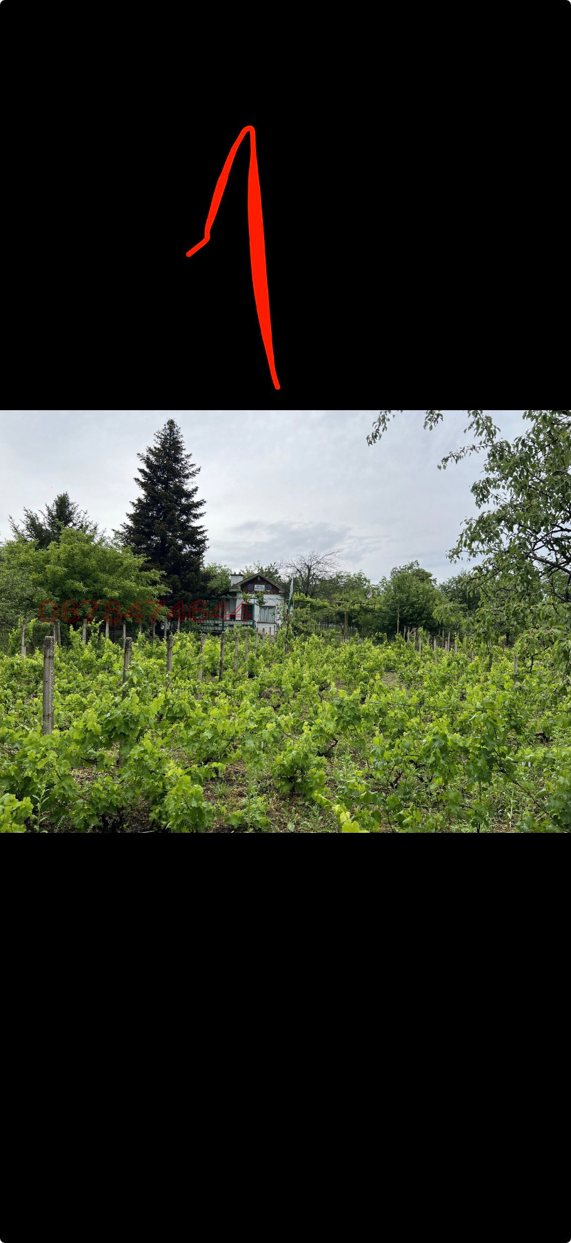 Продава ВИЛА, гр. Плевен, м-т Кожухарска чешма, снимка 3 - Вили - 55877359
