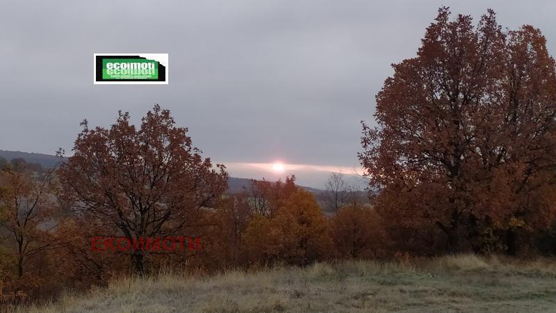 ������� ���� | Imot.bg � ����������� 9