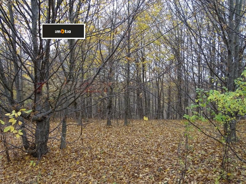 ������� ������ | Imot.bg � ����������� 9