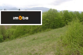 ����� ������� ������,��. �������, ������ �����