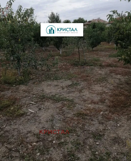 Продава КЪЩА, с. Караджово, област Пловдив, снимка 12 - Къщи - 52211604