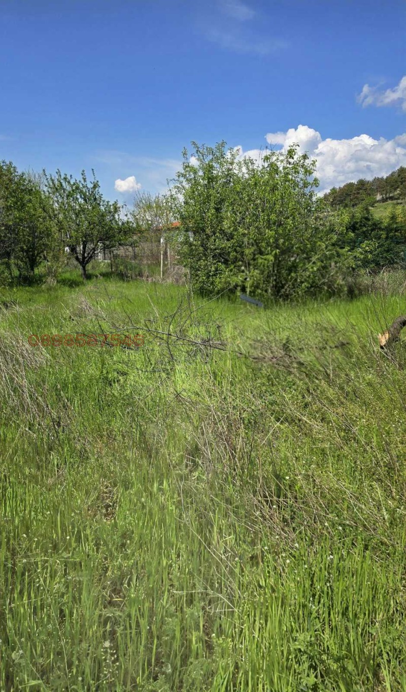 Te koop  Verhaallijn regio Plovdiv , Chisarja , 540 m² | 61028312